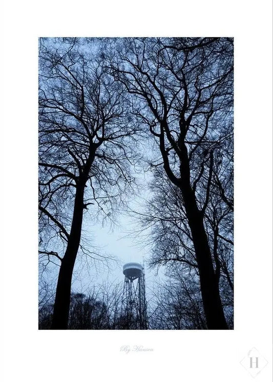 Kunstprint - trækroner og Aalborgtårnet Hansen posters