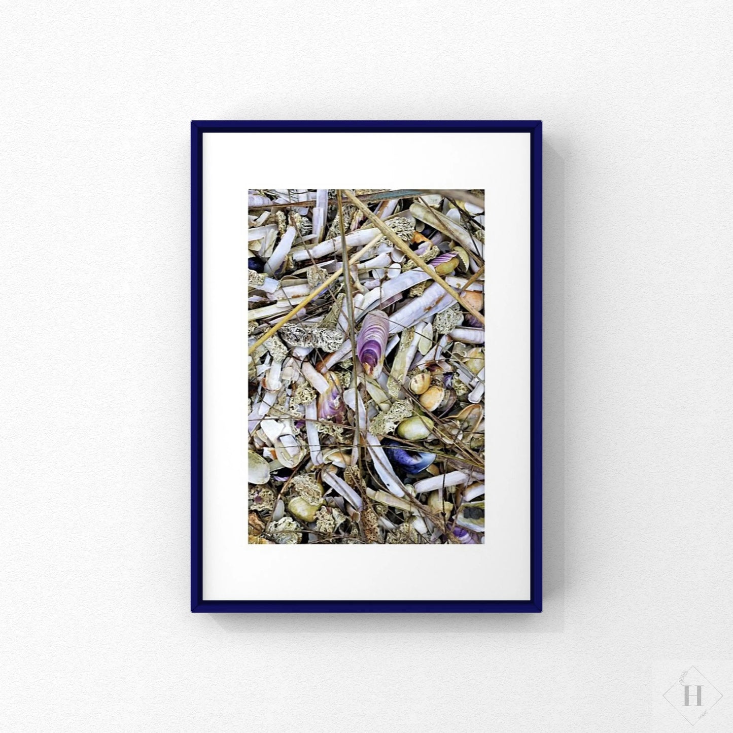 Strandens skatte - Purple Shell Hansen posters