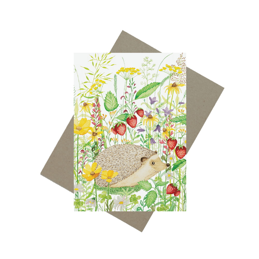 Kort - pindsvin i blomsterbedet Mette Mains