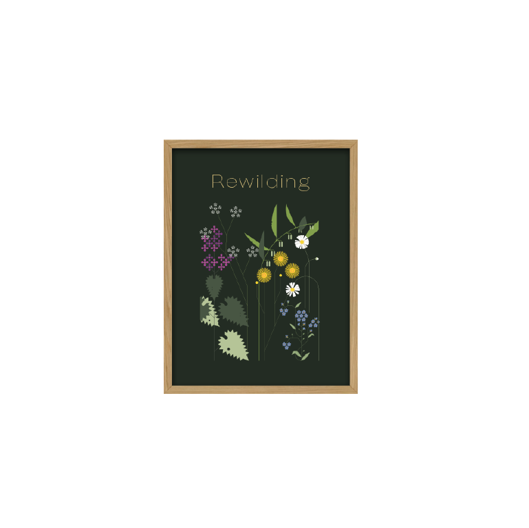 Kunstplakat - urter (30x40) Unika Nord