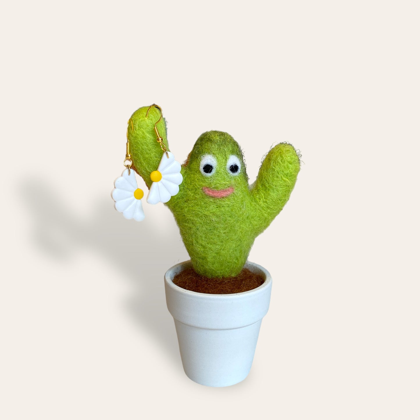 Filtet kaktus WoOlesens