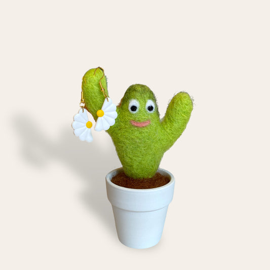 Filtet kaktus WoOlesens