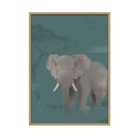 Kunstplakat - Elefant. (50x70) Unika Nord