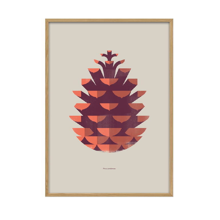 Kunstplakat - kogle (50x70) Unika Nord