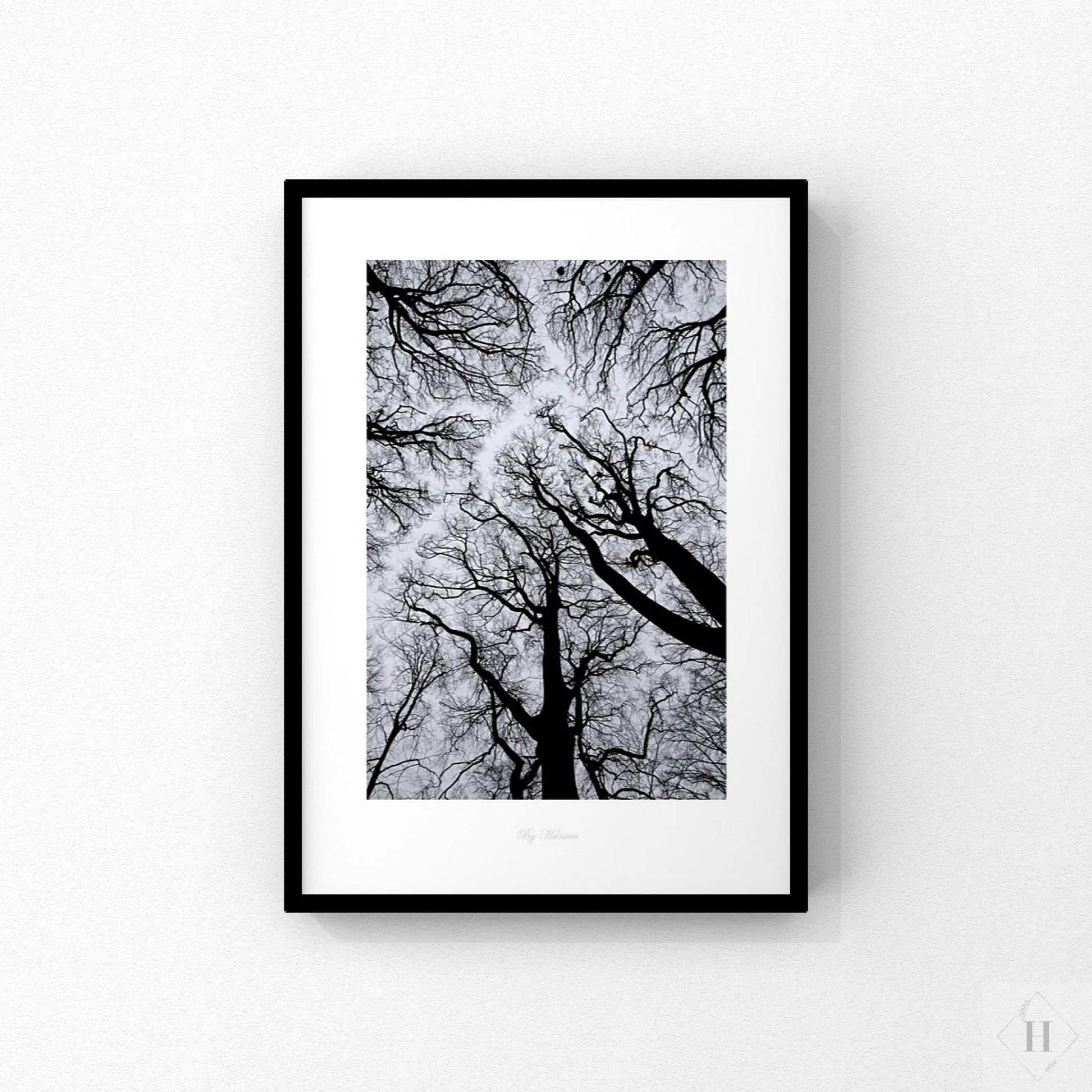 Kunstprint - trækroner 01 Hansen posters