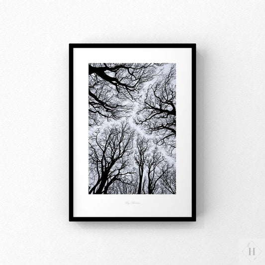 Kunstprint - trækroner 03 Hansen posters