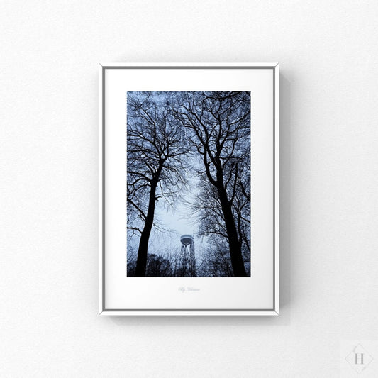 Kunstprint - trækroner og Aalborgtårnet Hansen posters