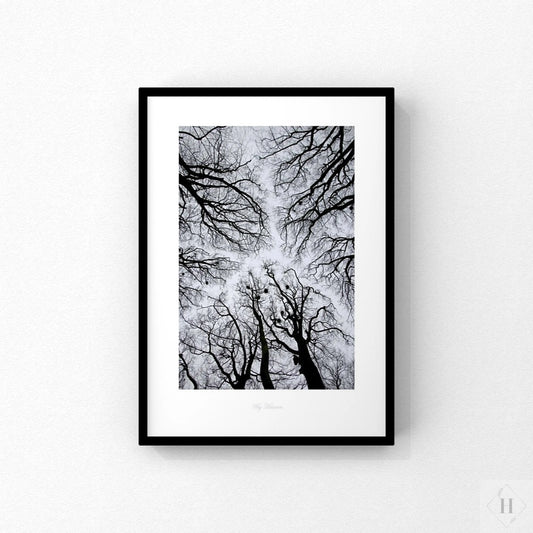 Kunstprint - trækroner 02 Hansen posters