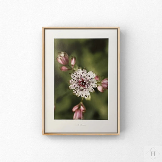 Kunstprint - løgblomst Hansen posters