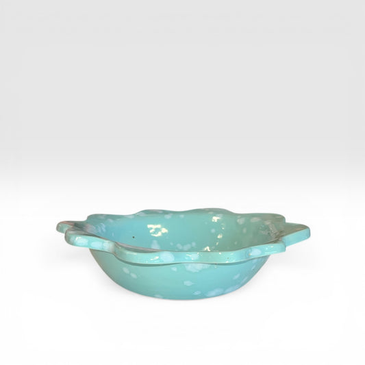 Dekorations skål med skildpadde