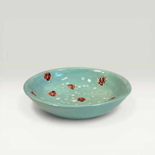 Lav skål med mariehøns