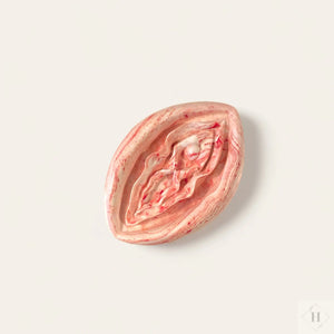 Vulva i jesmonite