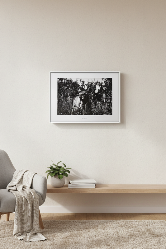 Elgen fra vildmosen – fotoprint af Hansen Posters