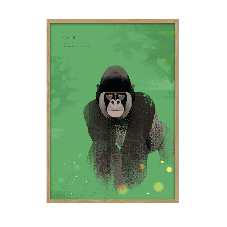 Kunstplakat - gorilla (50x70) Unika Nord