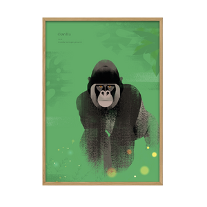 Kunstplakat - gorilla (50x70) Unika Nord
