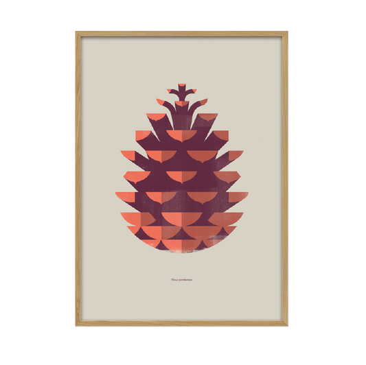 Kunstplakat - kogle (50x70) Unika Nord