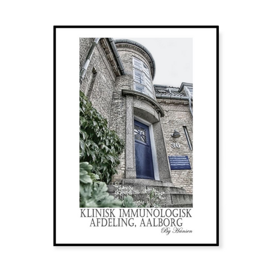 City posters - Aalborg klinisk immunologisk afd. Hansen posters