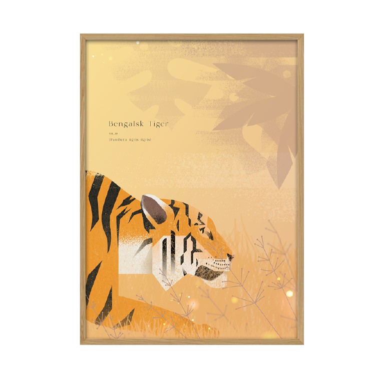 Kunstplakat - Tiger (50x70) Unika Nord