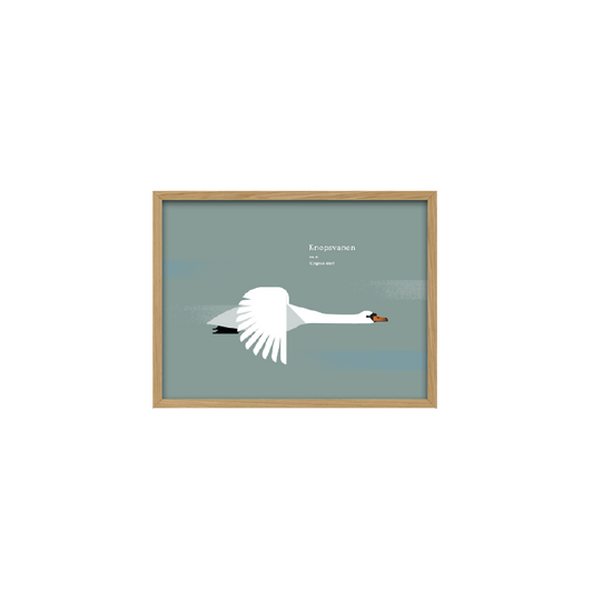 Kunstplakat - svane (30x40) Unika Nord